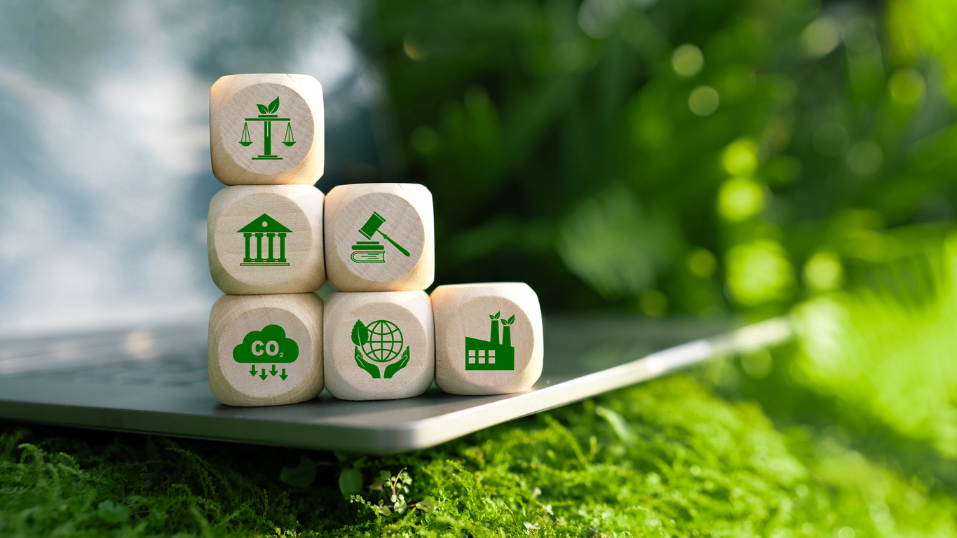 Who’s Keeping Score? The Carbon Credit Standards Companies Should Actually Trust