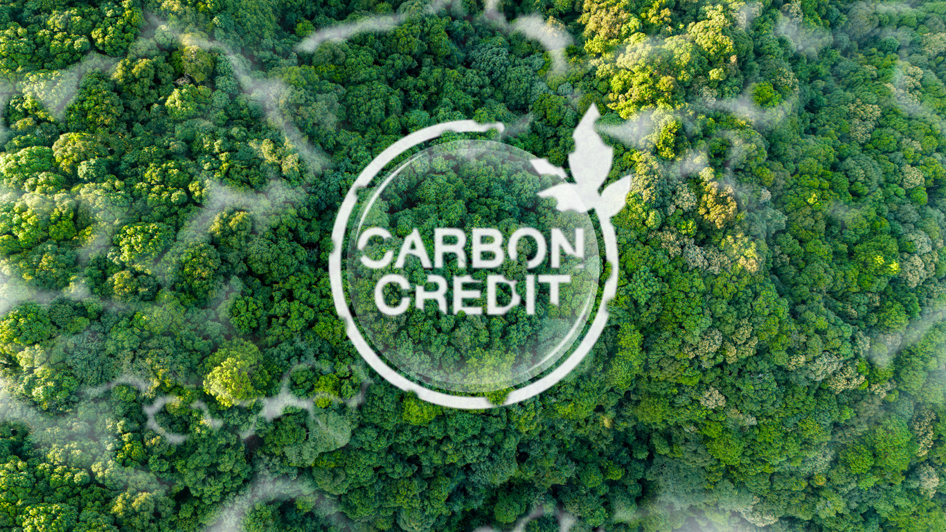 carbon credit ESG concepts of an ecologically friendly environment and a sustainable environmental lifestyle