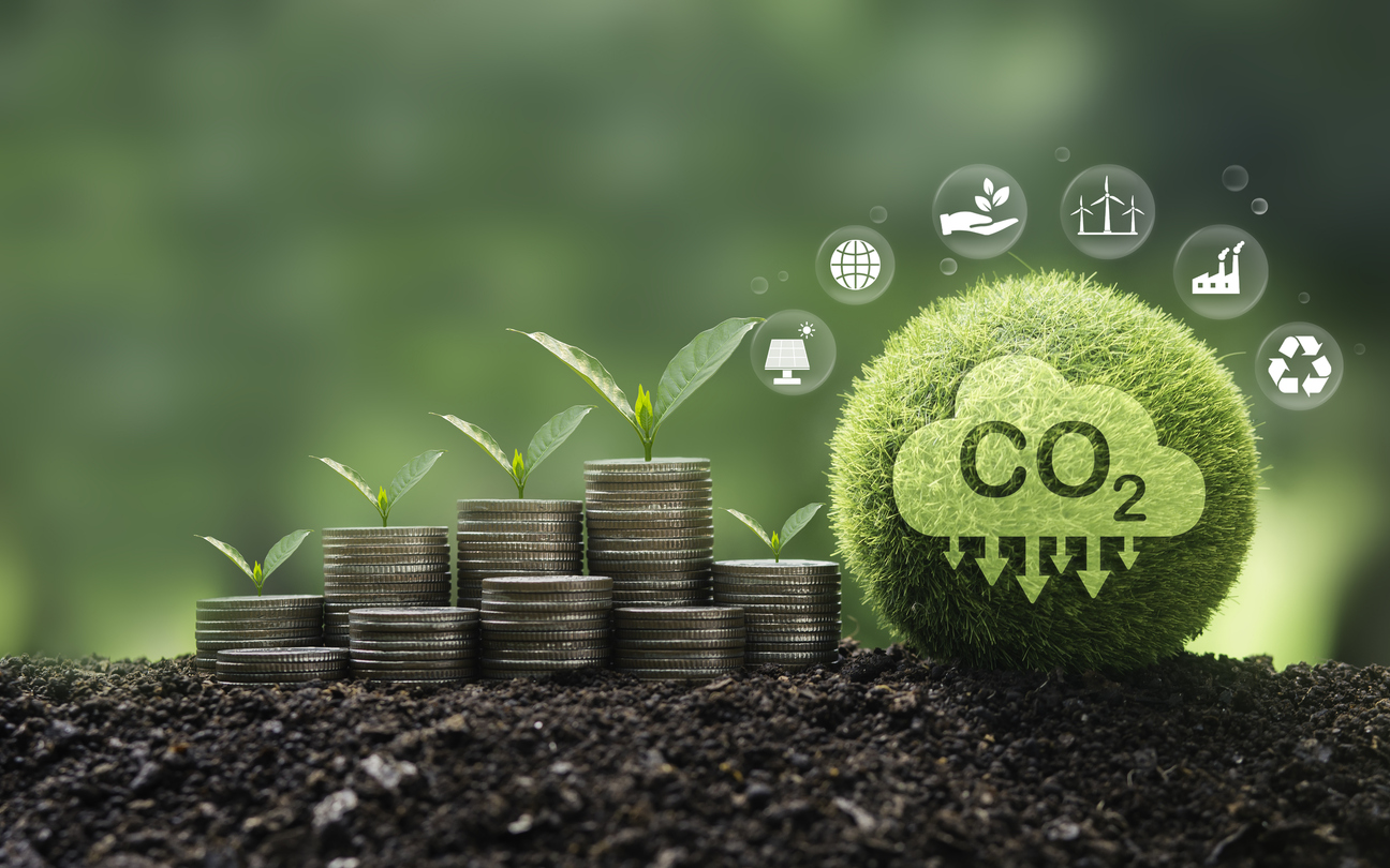 Sustainable development of carbon credits and green business from renewable energy. investment concept with seedlings growing on finance and carbon credits sustainable investment