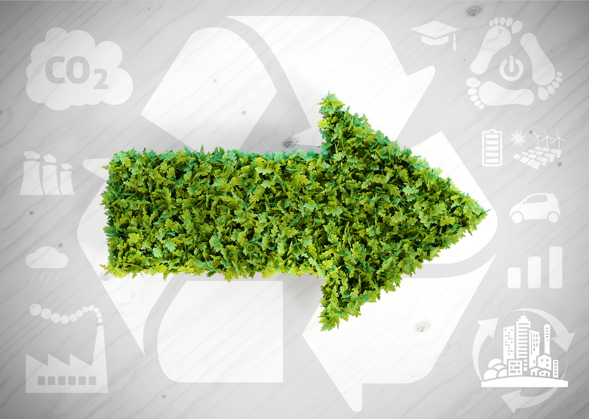 Carbon Credit Seller Readiness Self-Assessment Guide
