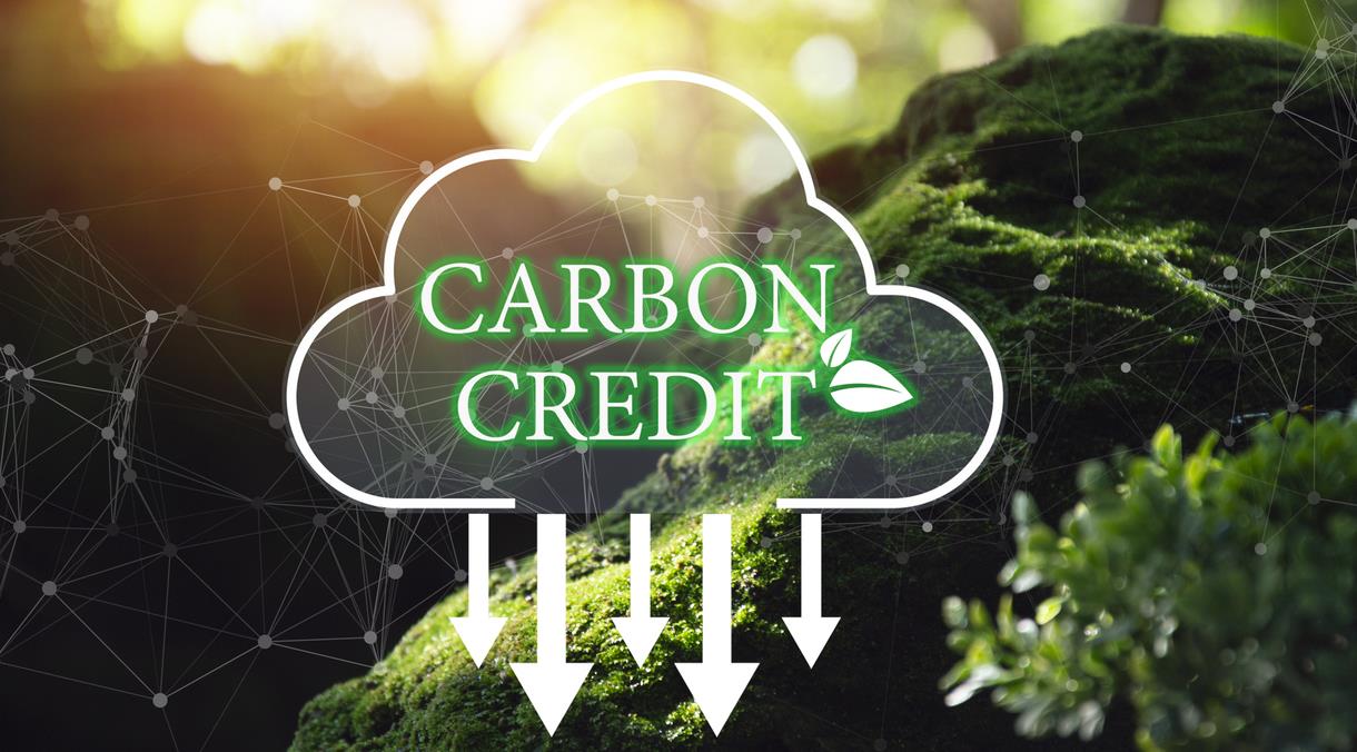 What Makes a High-Quality Carbon Credit